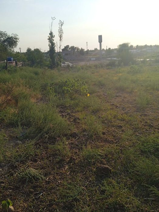 Yer sotiladi qurilish uchun ham dehqonchilik qilishgayam zór yerlar