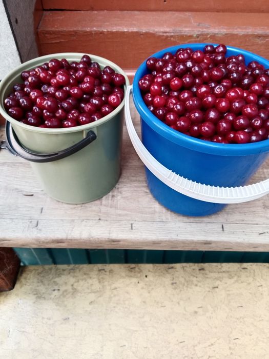 Продам дачу, с/о Эврика