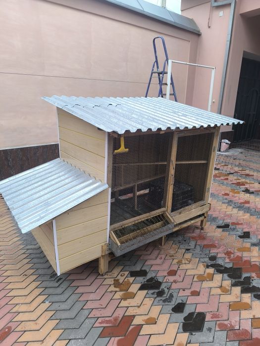 Tovuq katak Товук катак