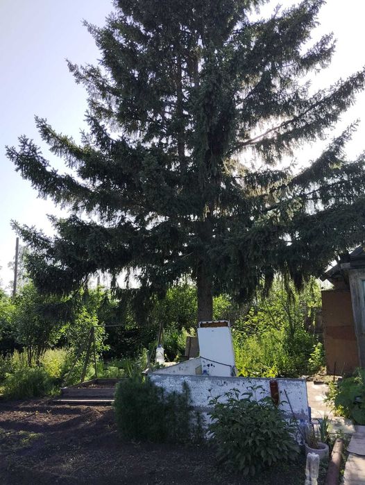 дача по красноярской трассе