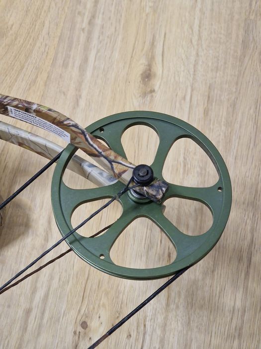 Arc Compound Bear Encounter