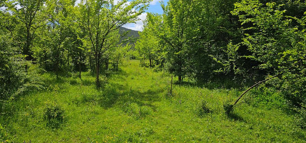 Продава се Парцел в Перник, Изток - 11803 кв.м за 16 €/кв.м - Снимка #5