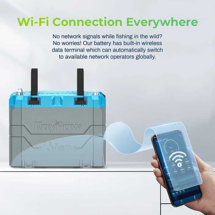 ROYPOW - Acumulatori Premium Lifepo4 12 V 200 AH