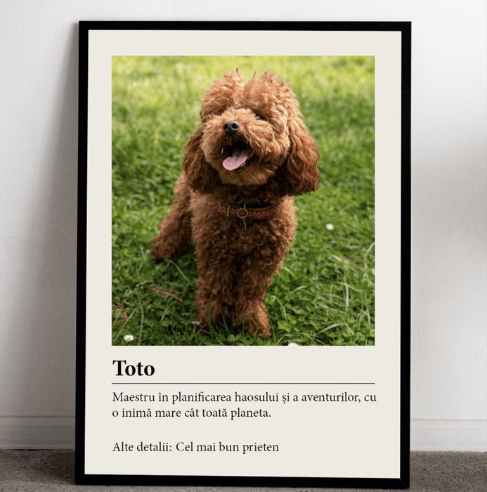 Tablouri Canvas Personalizate