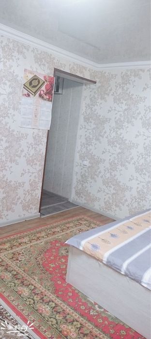 Аренда Спутник 1/1/2  300&