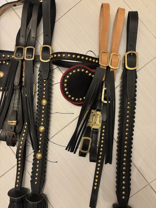 Hamuri cai. Capastru cal