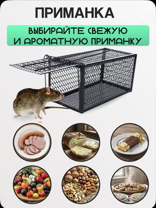 Гуманная мышеловка крысоловка