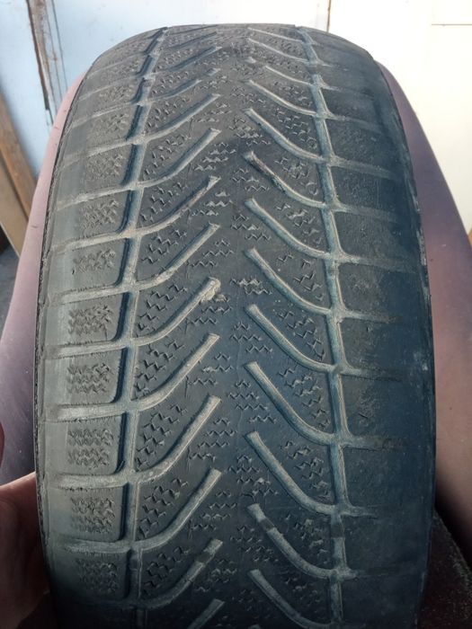 5 балонов на докатку