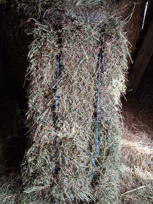 Vând baloti lucerna