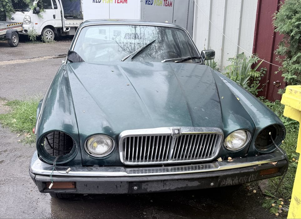 Vand jaguar 1980