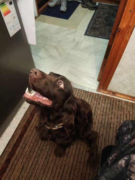 Молодой парень ищет себе подружку