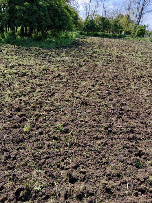 Vand teren intravilan Sat Lanurile
