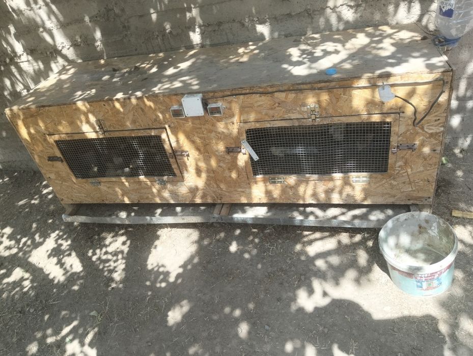 Брудер сатылады бағасы