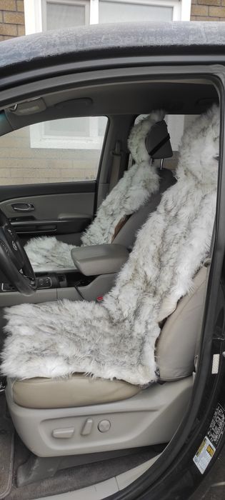 Чехлы на машину.