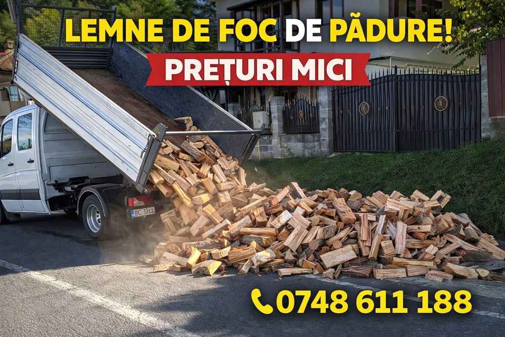 Lemne de foc Fag
