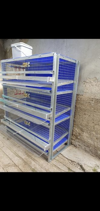 Клетки за пъдпъдъци