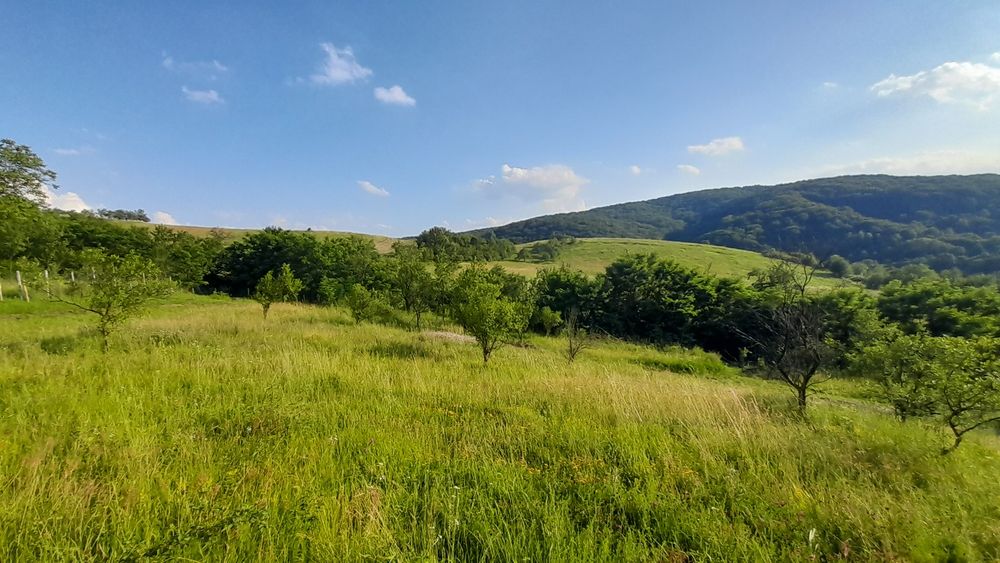 Teren intravilan frumos, Cozia