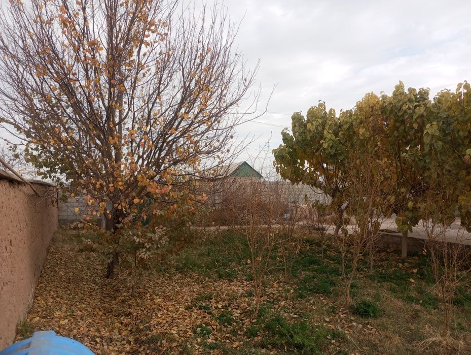 Срочно сотилади .