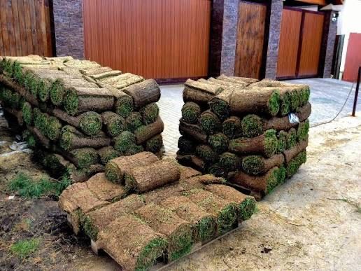 Оптом рулонный газон | Optom tayyor gazon