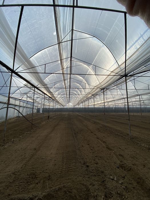 Теплица аренда