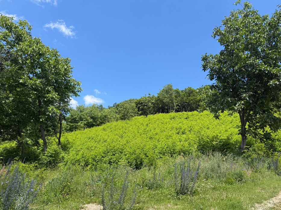 Vand teren intravilan 2.500 mp in Cisnadioara / jud. Sibiu