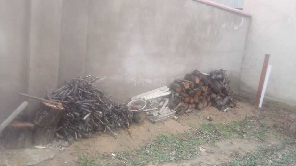 Дрова ( черешня)