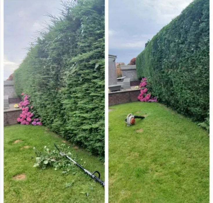 Inchiriez tocător vegetatie,crengi , materie lemnoasă