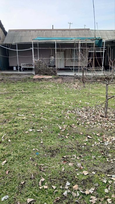 Арзон уй сотилади Саид Ота, Зангиота Зиёратгохдан 8 км, 34000 нархи