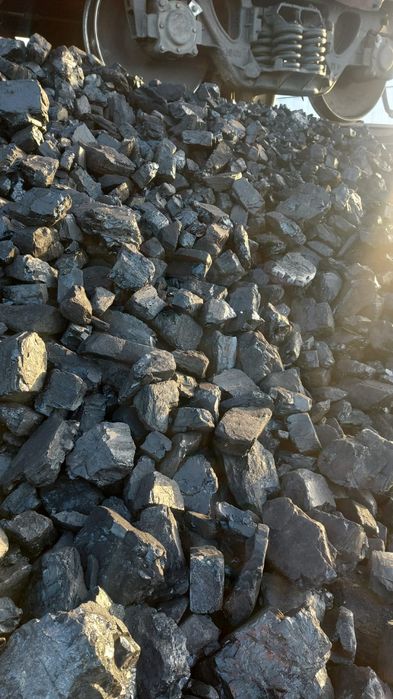 Көмір Қаражыра сорт