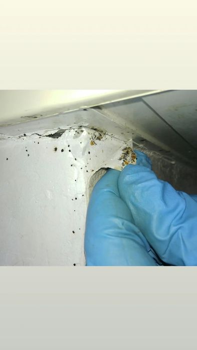 Акарицидная противоклещевая обработка