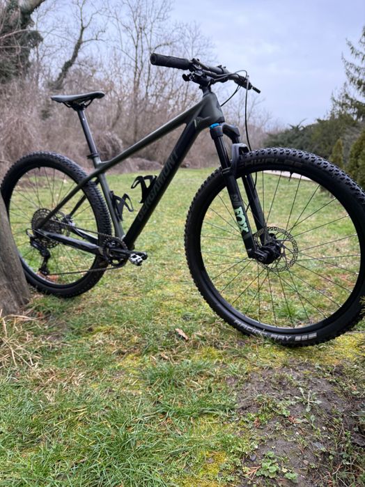 Bergamont Revox Pro M “29”