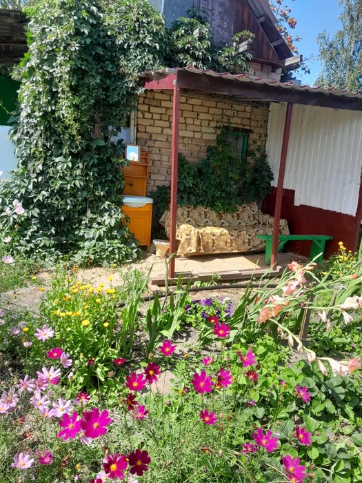 Дача в СТ Ромашка