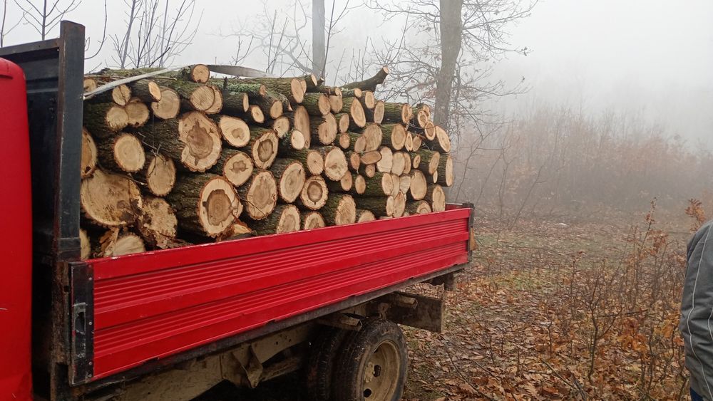 Vind lemne sparte și întregi . gârniță și cer.