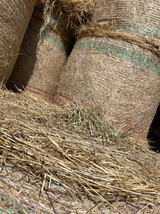 Baloți de semănătură