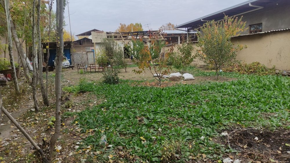 6,5 sotixlik Yer maydoni sotiladi