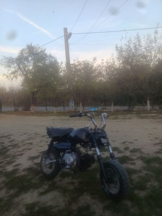 Vand Skyteam monkey 125cc