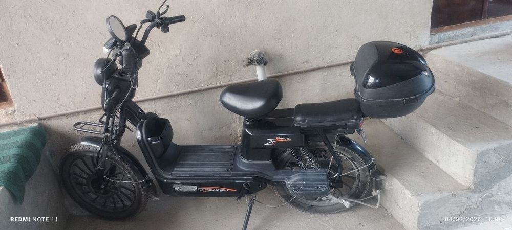 Sukuter xolate yaxshi