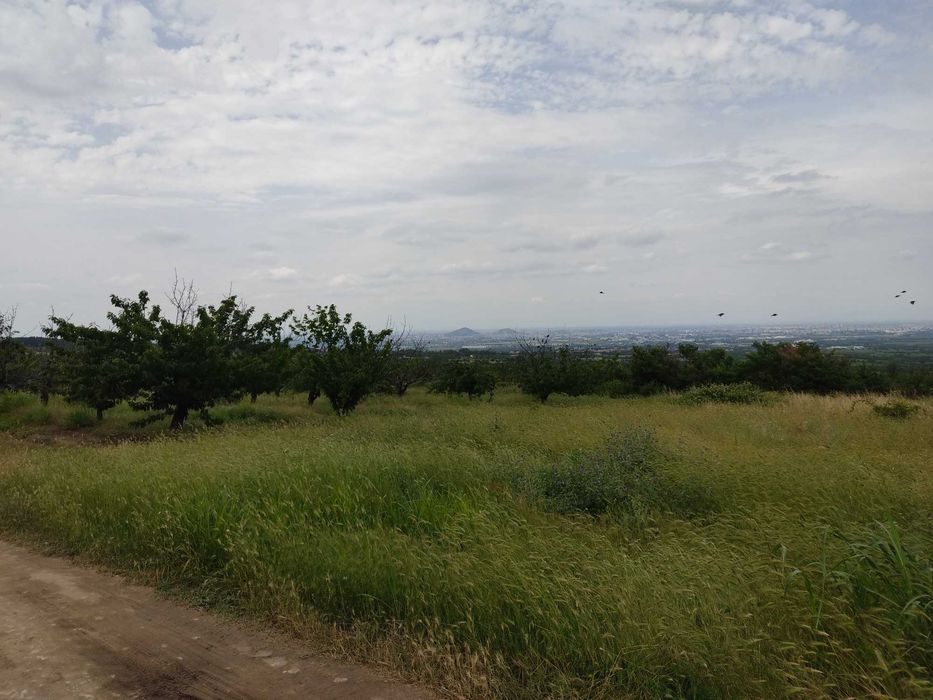 Продава се Парцел в с. Брестник, Област Пловдив - 610 кв.м за 69 €/кв.м - Снимка #1