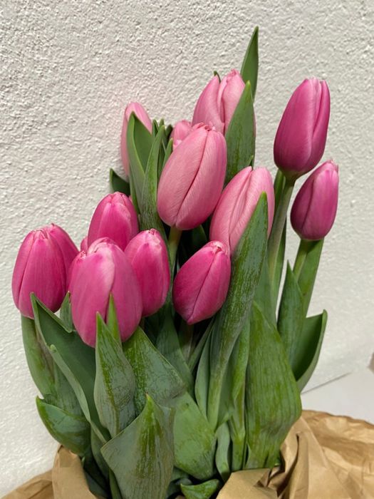 Тюльпаны с оформлением