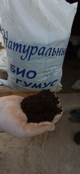 Biogumus sotamiz Oliy nav 100% dastavka be pul