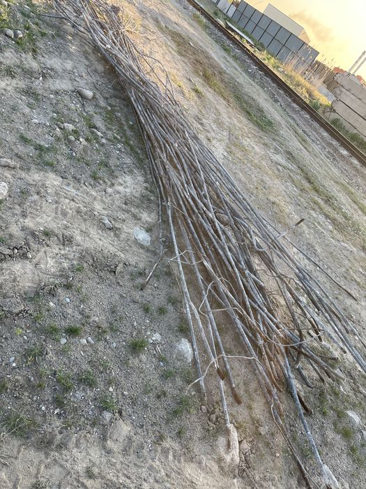 Арматура 10м 22 размер 180тг