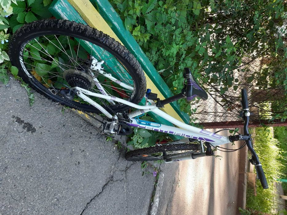 Велосипед Centurion Eve 4