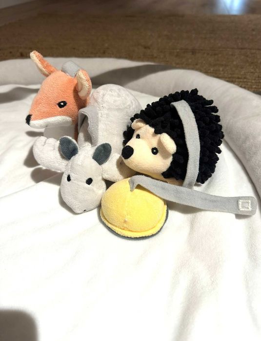 Centru de activitati Edvin | achizitionat de pe Adinish