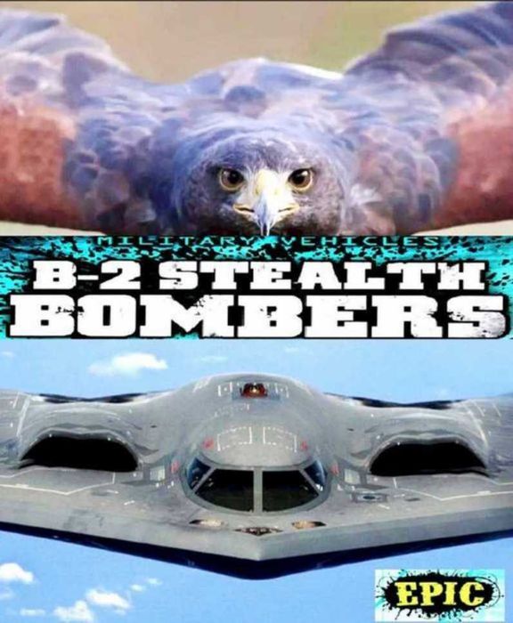 Macheta Avion B2 Spirit Bomber USA 1:200 27 cm