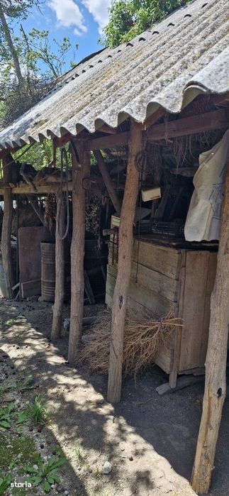 Casa si teren 3000 mp Naipu Giurgiu