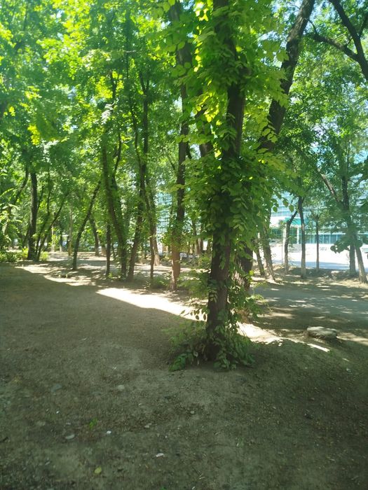 Квартира квпртира