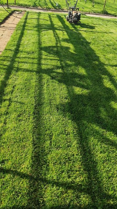 Газон Дания, Оптом ³ от 40000 до 45000 сум с поля