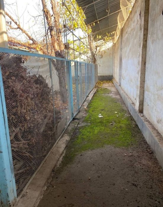 Прадажа земля Икота