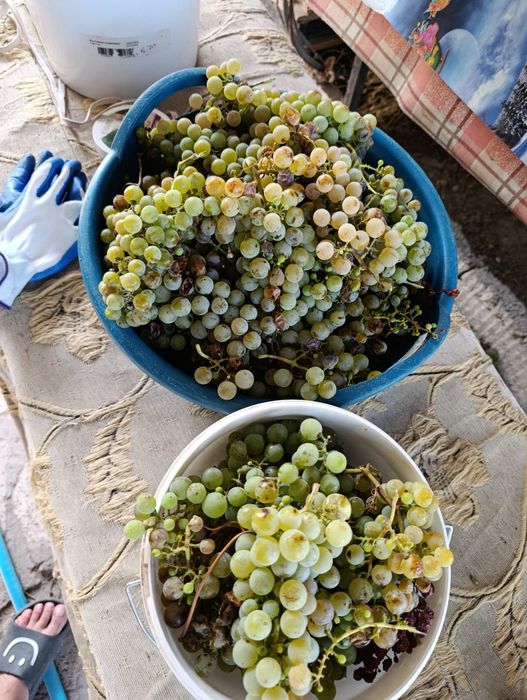 Продам дачу  по 7ке