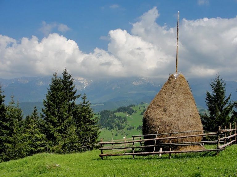 Claie de fan de vanzare